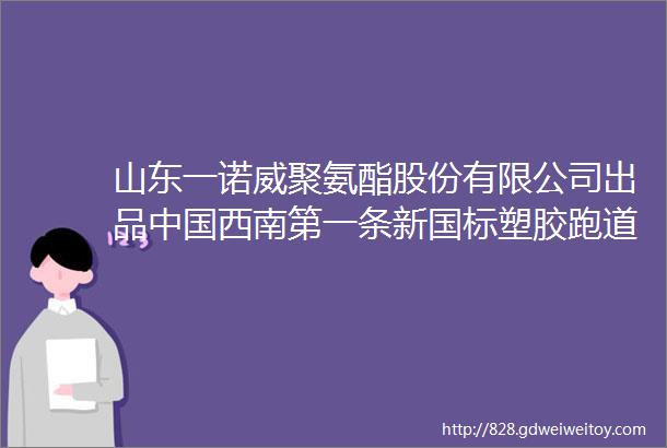 山东一诺威聚氨酯股份有限公司出品中国西南第一条新国标塑胶跑道